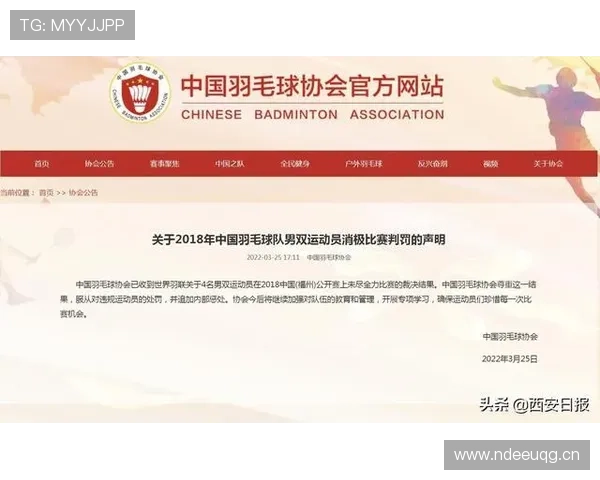 停赛规则如何影响球员出场资格？关键条款全解析